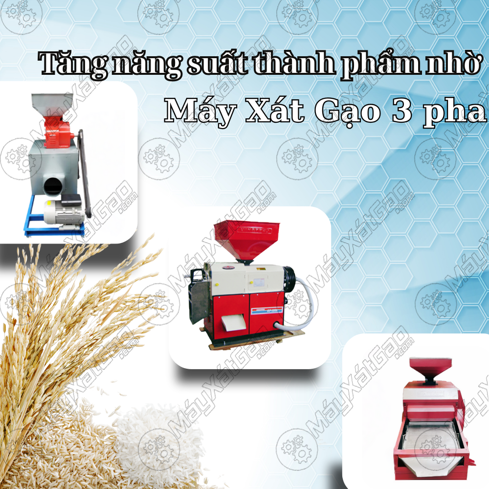 Máy xát gạo 3 pha là một giải pháp trong xay xát lúa gạo yêu cầu đạt năng suất cao, đây là dòng máy xát gạo sử dụng trong các cơ sở xay xát lớn hoặc trong ngành công nghiệp chế biến lương thực. Hoạt động với nguồn điện 3 pha 380 V nên máy hoạt động vô cùng mạnh mẽ, nâng cao hiệu suất hoạt động so với các loại máy sử dụng điện 1 pha.