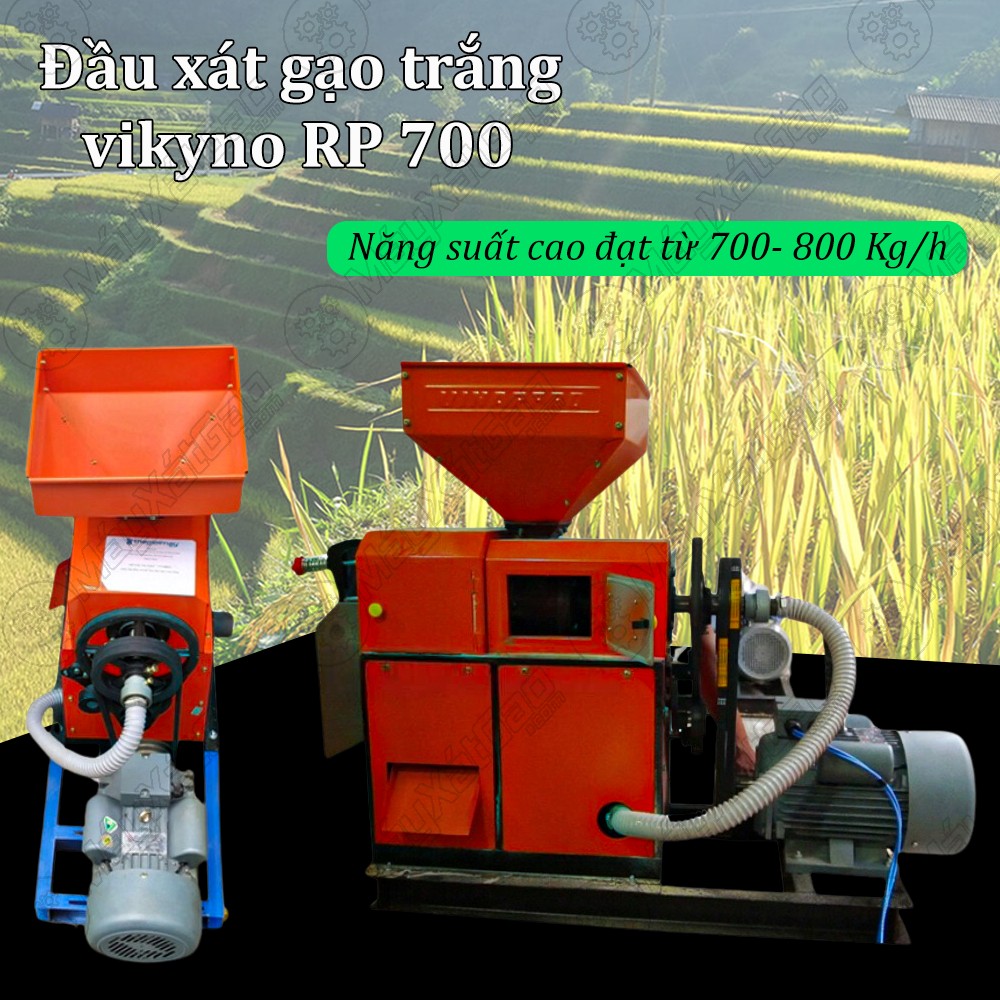 Đầu xát gạo trắng uy tín