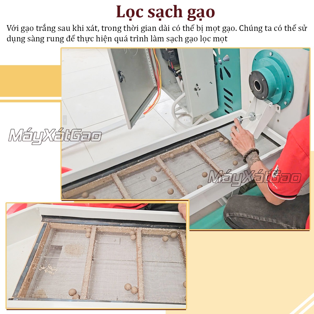 Sàng phân loại chất lượng gạo của dàn máy xay xát gạo Takyo TK18-16CN