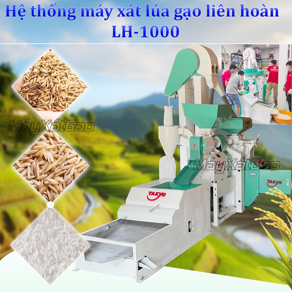 Dàn máy xát gạo liên hoàn LH 1000