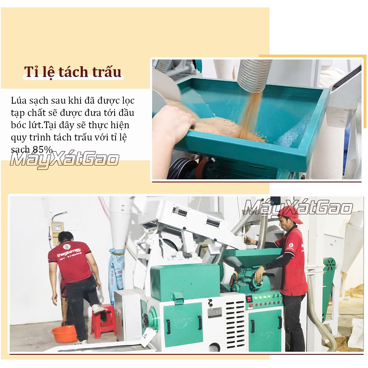 Đầu tách trấu lấy lứt của dàn máy xát gạo Takyo TK20-18CN