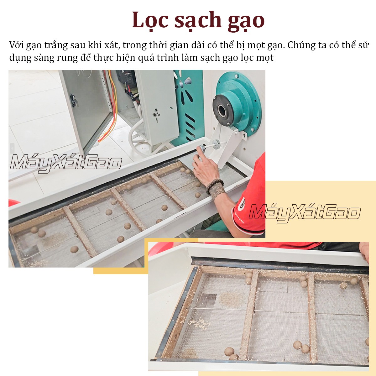 Sàng phân loại chất lượng gạo của dàn máy xay xát gạo Takyo TK20-18CN