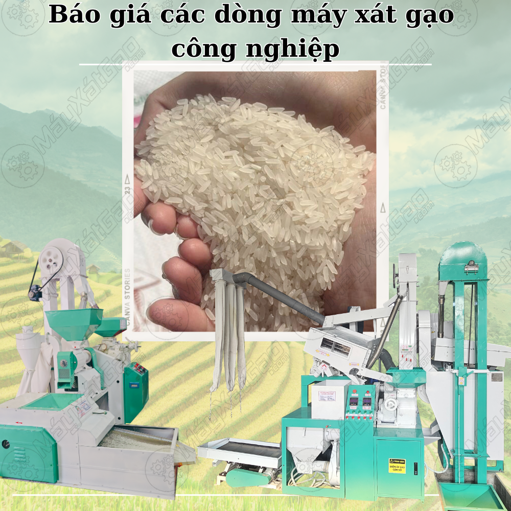 Máy xát gạo công nghiệp chuyên dùng cho bà con xay xát gạo kinh doanh tại nhà giúp sinh lời hiệu quả. Máy xát gạo công nghiệp có nhiều ưu điểm vượt trội hơn các dòng máy xay xát gia đình như khả năng làm việc liên tục, cho ra năng suất gấp 2, 3 lần các dòng máy xát gạo thường.