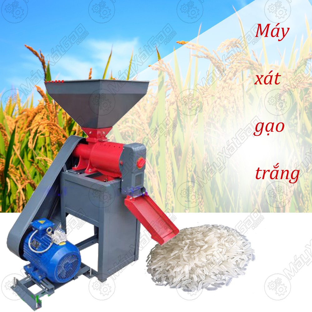 Máy xát gạo trắng được sử dụng xát thóc hay gạo lứt trực tiếp thành gạo trắng tùy theo độ trắng tùy chỉnh