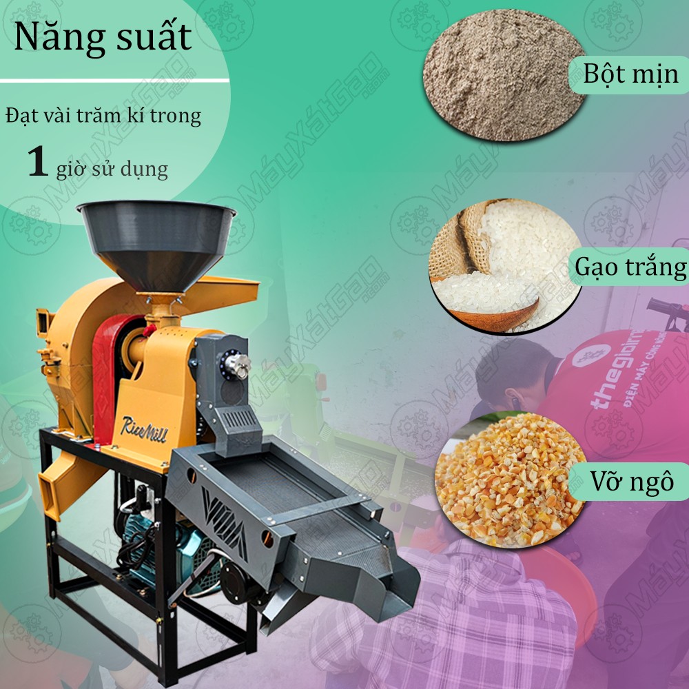 Năng suất của máy chà gạo gia đình đạt khoảng vài trăm kí trên giờ. Tuy nhiên con số này sẽ thay đổi tùy thuộc vào chất lượng gạo, công suất khác nhau