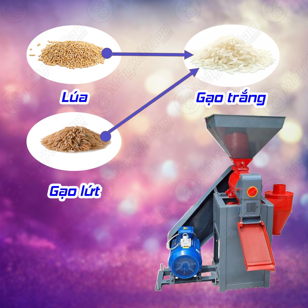 Ứng dụng của Đầu chà trắng – Máy xát gạo UN T1000