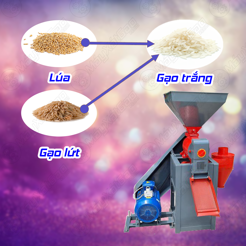 Đây là dòng máy xát trắng gạo giúp bà con có thể chà xát trực tiếp lúa hay gạo lứt để thành gạo trắng, đạt năng suất cao lên đến 800-1000 Kg/h.