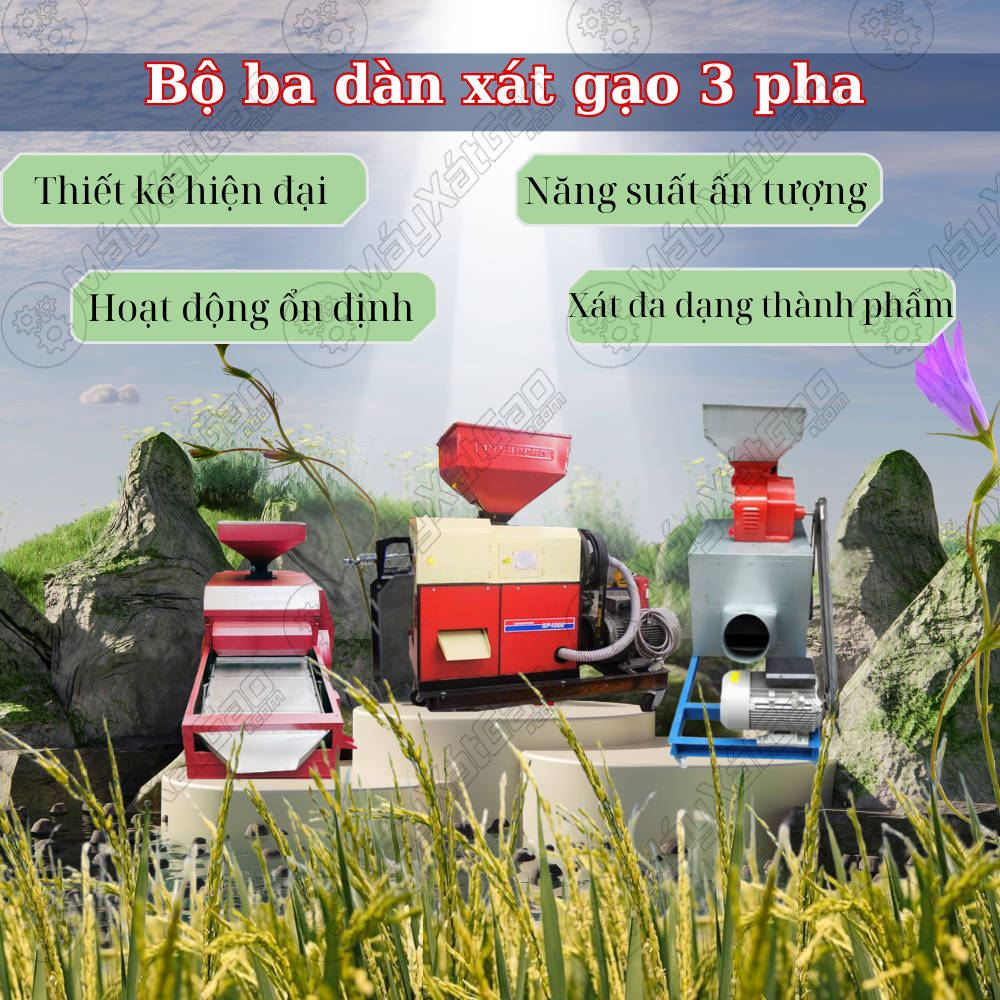 Ưu điểm của máy xát gạo 3 pha so với các dòng máy trên thị trường