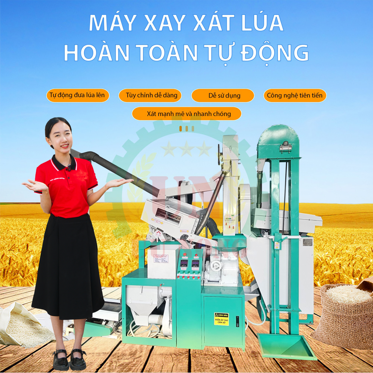 Hệ thống máy xay xát gạo liên hoàn 6LN 15 SF