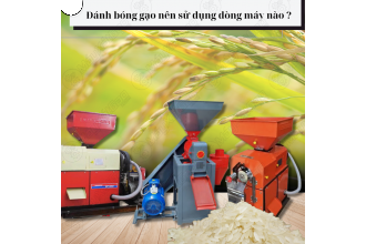 Tổng hợp các dòng máy đánh bóng gạo được bà con quan tâm hiện nay