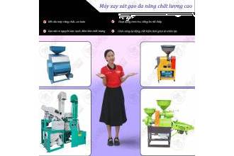 Các dòng sản phẩm phục vụ nhu cầu xay xát lúa gạo đang được tin dùng tại mayxatgao.com